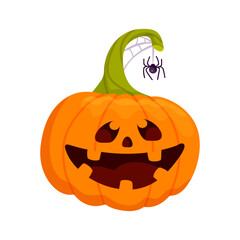 Funny pumpkin with cobweb and spider.Cartoon vector graphic.