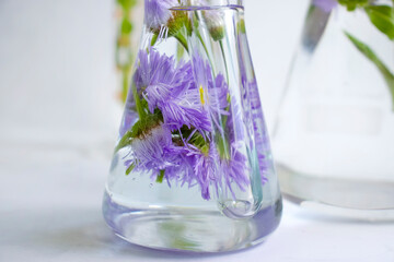 Laboratory flask, flower on a light background
