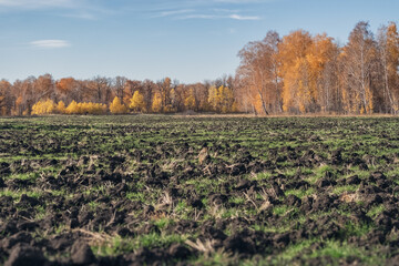 Fototapeta premium Agricultural fields in late autumn. Machine tillage for winter preparation.