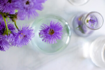 Laboratory flask, flower on a light background