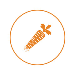 Diet vegetable fruit carrot icon | Circle version icon |