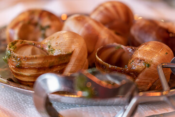 Naklejka premium Dish - Snails on a plate