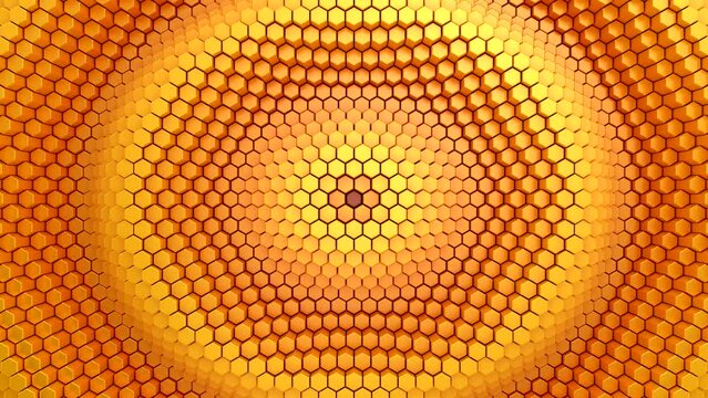 Hexagons Form A Wave. Abstract motion, 6 in 1, 3d rendering, 4k resolution
