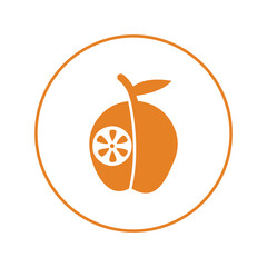 Citrus food orange fruit icon | Circle version icon |