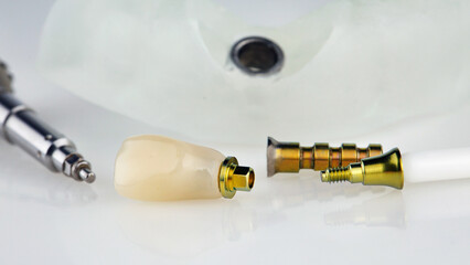 composition of dental crown, abutment and screwdriver on white background