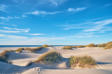 Wide sand beach in northern Denmark. High quality photo