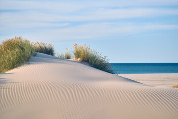 Sand dune on danish beach. High quality photo