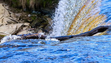 Waterfall in Estonia. Jagala the highest natural cascade in Estonia. close up