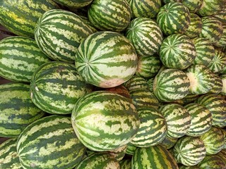 many watermelons on the market background. Big berry.