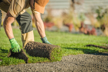 Gardener Laying Roll-Out Grass