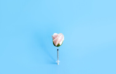 Fake white rose pierced with medical syringe on blue background. Facial rejuvenation or artificial...