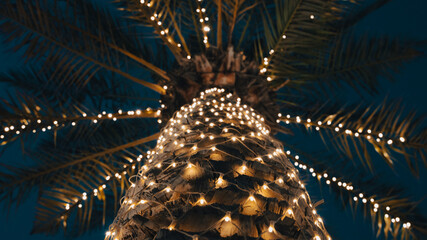 Palm tree decorated with light in during Ramadan
