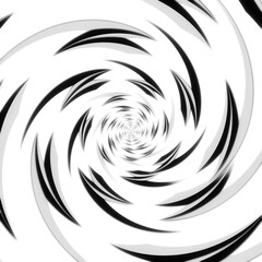 Fototapeta premium black and white swirl