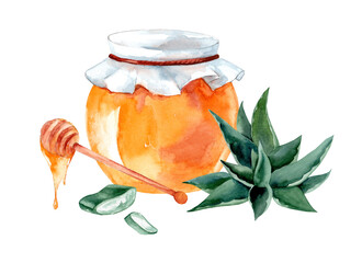 Honey and Aloe vera. Watercolor hand drawn illustration