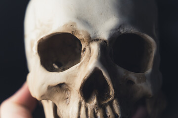 Obraz premium A person holding a real human ancient skull, upper half, eyes and nose close-up. High quality photo