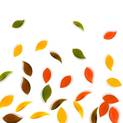 Falling autumn leaves. Red, yellow, green, brown n
