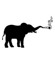Kiffender Elefant Joint Weed 