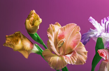 beautiful bouquet of summer flowers on a bright background