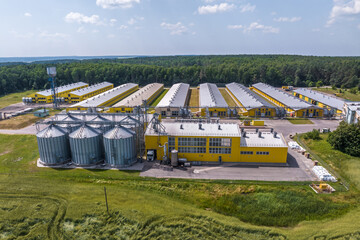 aerial view on rows of agro silos granary elevator with seeds cleaning line on agro-processing...