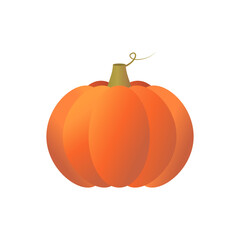 Thanksgiving day. Halloween pumpkin  isolated on white background.  Vector illustration