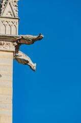 Paris's Notre Dame Cathedral façade The famous Notre-Dame de Paris cathedral, French Gothic architecture, is one of the most well-known church in the world, Paris, France