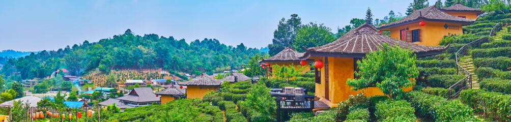 The slope with tea shrubs and houses, Ban Rak Thai Yunnan tea village, Thailand