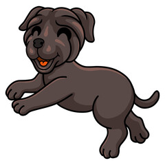 Cute neapolitan mastiff dog cartoon