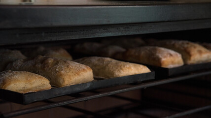 bread in the oven, hot bread coming out of the oven, homemade