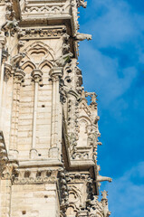 The famous Notre-Dame de Paris cathedral, French Gothic architecture Paris, France