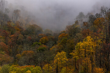 Thick Fog Rolls into Valley in the North carolina Mountains