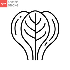 Spinach icon. Leaves vegetable logo Spice for food apps and websites. Tasty fresh herb green leaf healthy lettuce concept Editable stroke. Vector illustration design on white background. EPS 10
