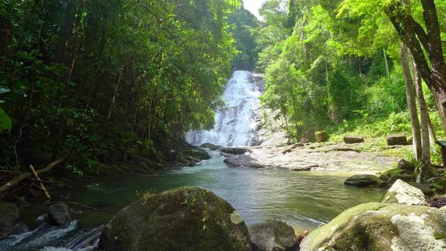 Waterfall in the abundant rainforest beautiful nature background