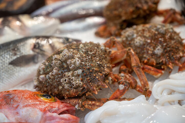Assortment of fresh catch of fishes, seashells, molluscs on fish market in Spain