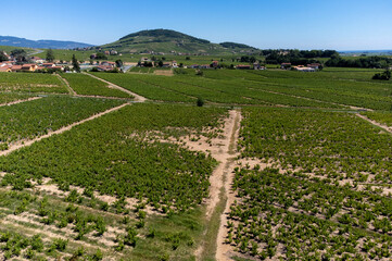 Aerial view on vineyards and villages near Mont Brouilly, wine appellation Côte de Brouilly...