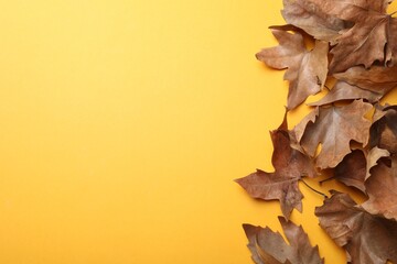Dry autumn leaves on yellow background, flat lay. Space for text