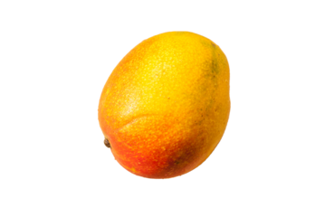 Mango isolated