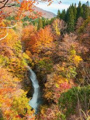 秋の秋山郷　紅葉した山　日本