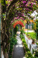 Fototapeta na wymiar An archway of flowers growing over a sidewalk in Positano, Italy, Europe.