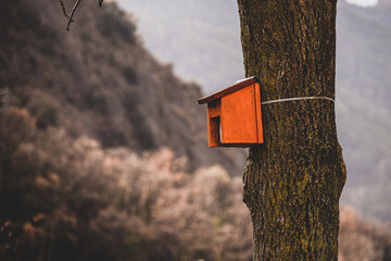 sign on the tree, bird house 