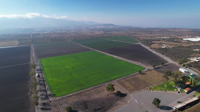 vast aerial overview of green open land of garlic and asparagus farms in mexico
