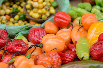 Pimentas na Feira de São Joaquim