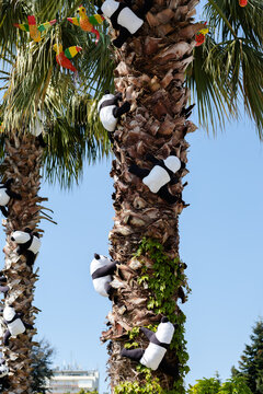 Soft panda toys with parrots decoration on palm trees