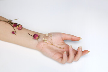 Defocus fashion art hand woman in summer time and flowers on her hand. Skincare hands of women with long nails on white background. Out of focus