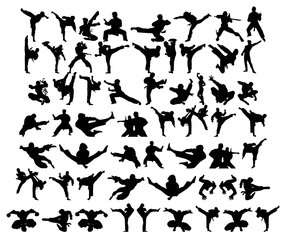 Vector kinds of movements in karate