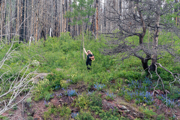 Cute blonde woman hiking in the Blakiston Falls Red Rock Canyon area of Waterton Lakes National Park, waving