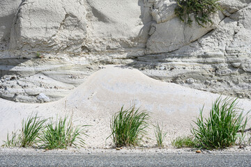 Erosion in sandstone rock cliff, tall grasses at the base, patterns and textures in nature as a background
