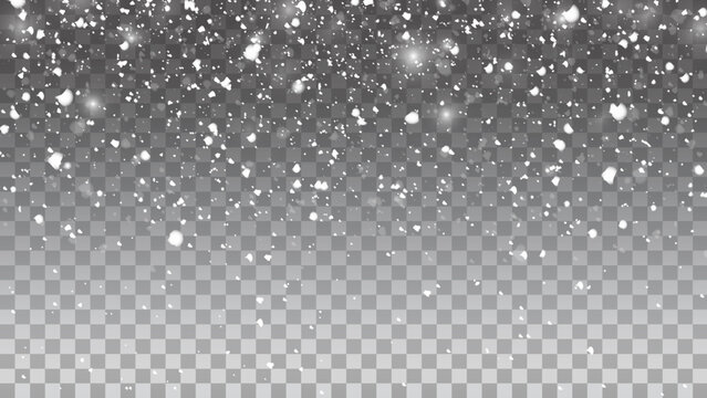 Snow vector effect isolated. Falling Snow winter cold weather. Transparent snowfall decoration background