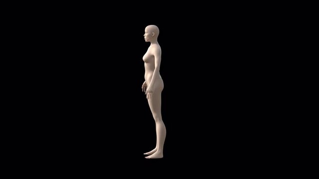 woman body - 4K - 3d render