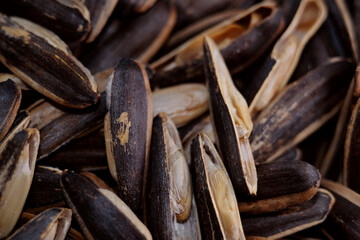 Macro texture of sunflower seed