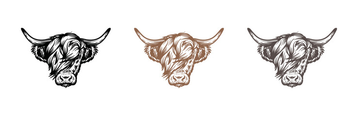 Image of Head of highland cattle cow illustration hand drawn symbol icon logo vector. Farm logo design printed on Printed Glass Splashbacks